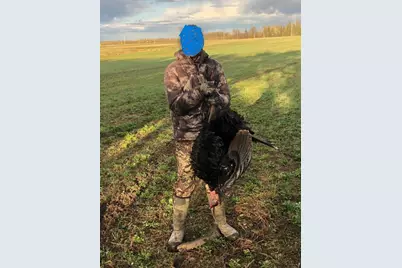 Tbd Saralampi Road, Toivola, MN 55765 - Photo 21