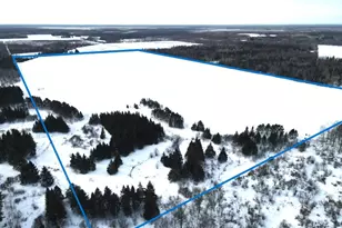 Tbd Arkola Rd, Toivola, MN 55765 - Photo 1