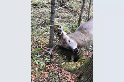 9166 Saralampi Road, Toivola, MN 55765 - Photo 23