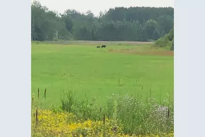 9166 Saralampi Road, Toivola, MN 55765 - Photo 25