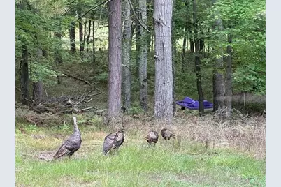 28478 Jesse Ryan Court, Danbury, WI 54830 - Photo 51