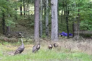 28478 Jesse Ryan Ct, Danbury, WI 54830 - Photo 51