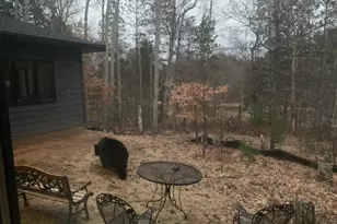 28478 Jesse Ryan Ct, Danbury, WI 54830 - Photo 11