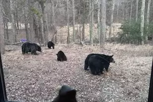 28478 Jesse Ryan Ct, Danbury, WI 54830 - Photo 13