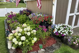 6243 145th St N, Hugo, MN 55038 - Photo 63