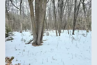 4988 32nd Avenue NE, Remer, MN 56672 - Photo 3