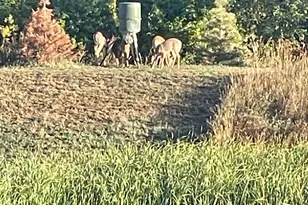 4852 Bennett St SE, Prior Lake, MN 55372 - Photo 51