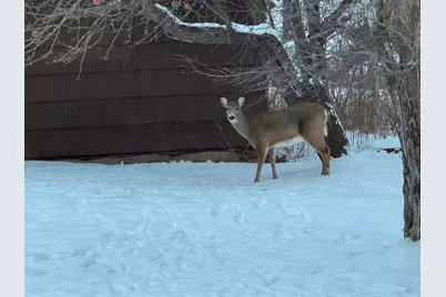 1820 Mary Street, Beaver Bay, MN 55601 - Photo 49