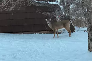 1820 Mary St, Beaver Bay, MN 55601 - Photo 49