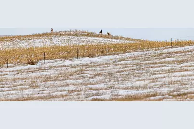 Tbd 49 St SW 212A, Hebron, ND 58638 - Photo 31