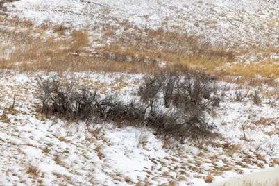 Tbd 49 St SW 212A, Hebron, ND 58638 - Photo 43