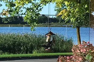 1960 Long Bridge Rd, Detroit Lakes, MN 56501 - Photo 7