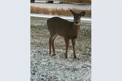 1960 Long Bridge Road, Detroit Lakes, MN 56501 - Photo 53