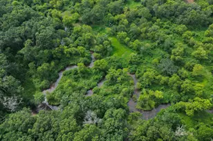 S9025 Lowes Creek Rd, Eleva, WI 54738 - Photo 5