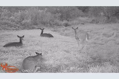 S9025 Lowes Creek Road, Eleva, WI 54738 - Photo 51