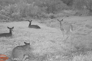 S9025 Lowes Creek Rd, Eleva, WI 54738 - Photo 51