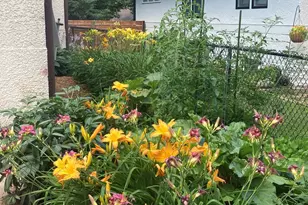 49 Sheridan Ave S, Minneapolis, MN 55405 - Photo 25