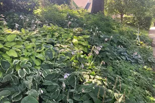 49 Sheridan Ave S, Minneapolis, MN 55405 - Photo 37