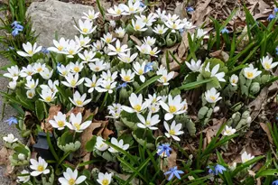 49 Sheridan Ave S, Minneapolis, MN 55405 - Photo 35