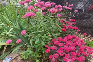 49 Sheridan Ave S, Minneapolis, MN 55405 - Photo 31