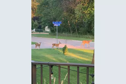 2001 Henry Street N, North Saint Paul, MN 55109 - Photo 43