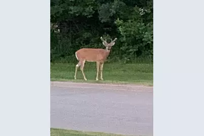 2001 Henry Street N, North Saint Paul, MN 55109 - Photo 47