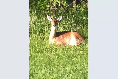 2001 Henry Street N, North Saint Paul, MN 55109 - Photo 45