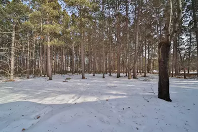 32042 Darner Lane, Pequot Lakes, MN 56472 - Photo 29