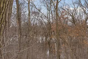 3890 Kindred Way, Lake Elmo, MN 55042 - Photo 63