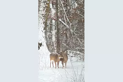3890 Kindred Way, Lake Elmo, MN 55042 - Photo 27
