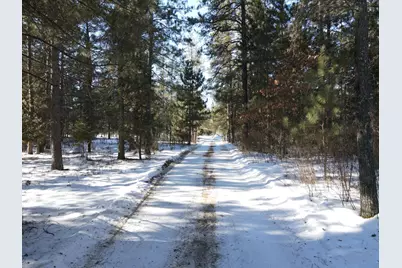 32065 159th Avenue, Menahga, MN 56464 - Photo 45