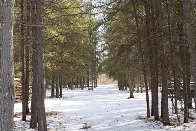 32065 159th Avenue, Menahga, MN 56464 - Photo 41