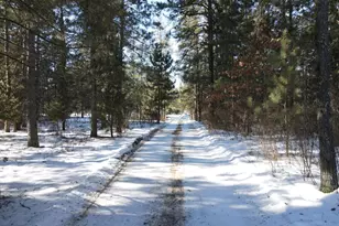 32065 159th Ave, Menahga, MN 56464 - Photo 41