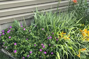 16352 Irvine Ave NW, Clearwater, MN 55320 - Photo 41