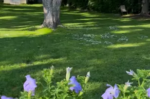 3886 Hill Ave, White Bear Lake, MN 55110 - Photo 39