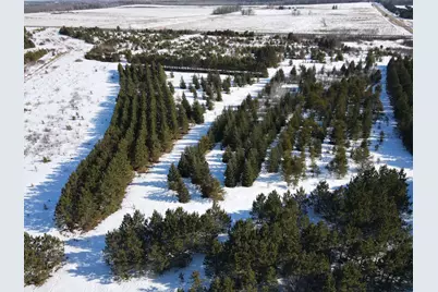 Tbd County Road 26, Sebeka, MN 56477 - Photo 31