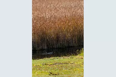 10947 69th Avenue N, Maple Grove, MN 55369 - Photo 53