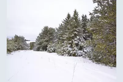 Xxx 170th Street, Park Rapids, MN 56470 - Photo 5