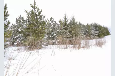 Xxx 170th Street, Park Rapids, MN 56470 - Photo 7