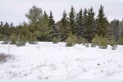 Xxx 170th Street, Park Rapids, MN 56470 - Photo 3