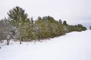 Xxx 170th St, Park Rapids, MN 56470 - Photo 1