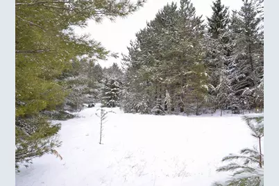 Xxx 170th Street, Park Rapids, MN 56470 - Photo 13