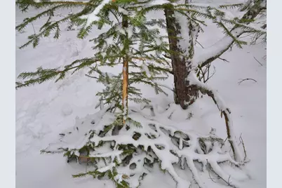 Xxx 170th Street, Park Rapids, MN 56470 - Photo 11