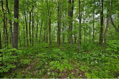 Lot 1 Highway 77 E, Hayward, WI 54843 - Photo 7