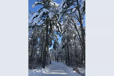 29741 County Road 3, Merrifield, MN 56465 - Photo 83