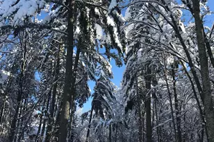 29741 Co Rd 3, Merrifield, MN 56465 - Photo 83