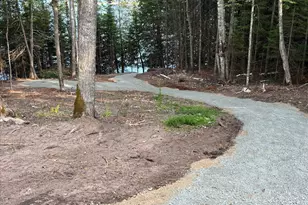 54342 W Horseshoe Lake Rd, Bigfork, MN 56628 - Photo 39