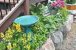 850 County 46 NW, Backus, MN 56435 - Photo 13