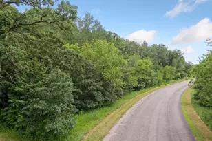 Tbd 114th Ave, Zimmerman, MN 55398 - Photo 3