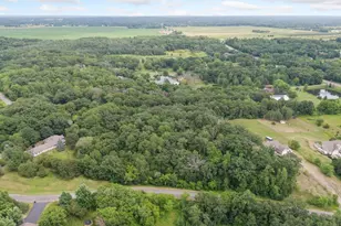 Tbd 114th Ave, Zimmerman, MN 55398 - Photo 11